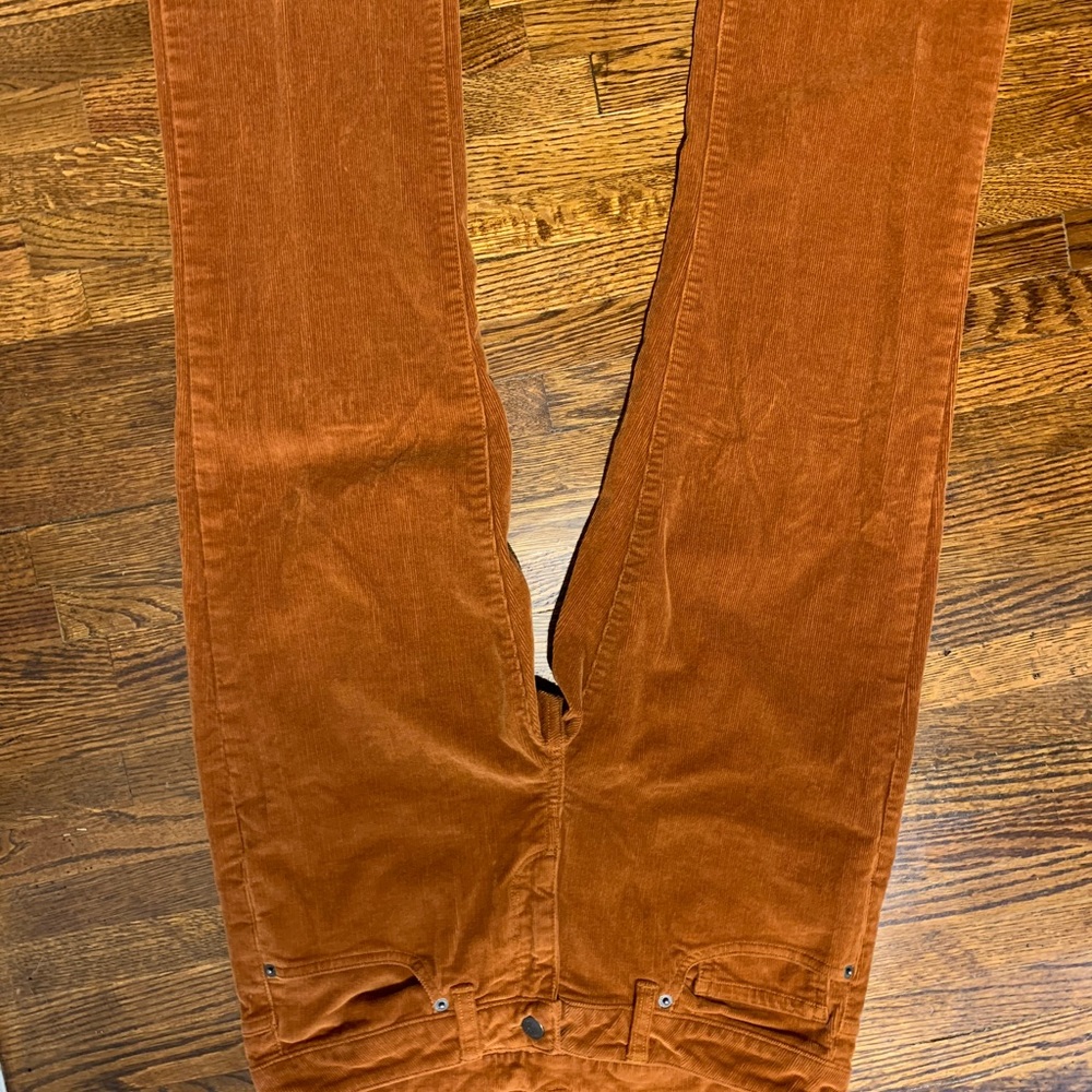 Patagonia corduroy pants 29 SHORT never worn